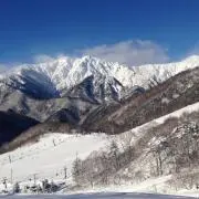 こもの日和の画像