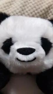 みっきぃの画像