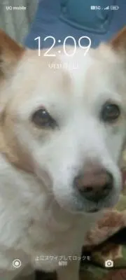 coroの画像