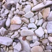 ぽんますの画像