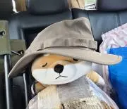 naoの画像