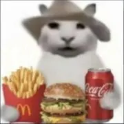 Burger catの画像