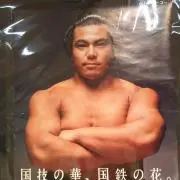 どすこいの画像