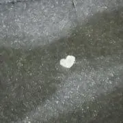 みかん プロフ必読の画像