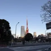RiSAの画像