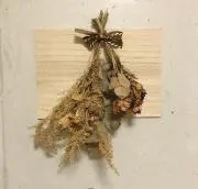 pleiaの画像