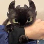さちゅう