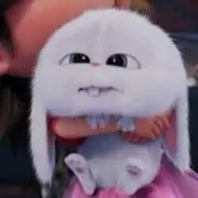 nの画像