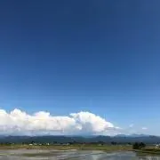 れん