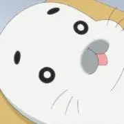ごまちゃんの画像