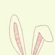 Mocaの画像
