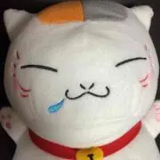 にゃんこせんせー