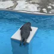 あきなん211