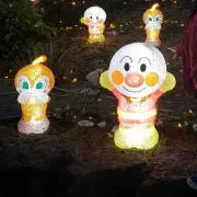 IR✩.*˚の画像