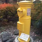 たんその画像
