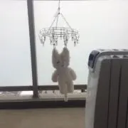 完売品【LA PEAU DE GEM】フィッシャーポケットベスト - メルカリ