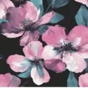 empressの画像