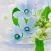 おっ得ラボ✰Shop✰即購入ＯＫの画像