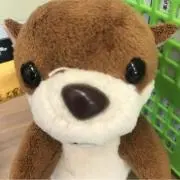 ホンジャマカ