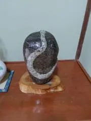 ボイジャーパパの画像