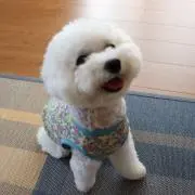 ゆう
