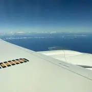 ブロッコリーの画像