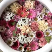 Ayakoの画像