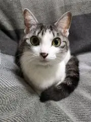 GIOGIOの画像