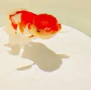 まちの画像