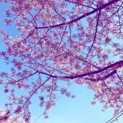 natsu139の画像