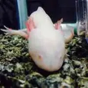 Takayuki