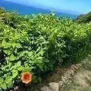 なぁ＊グッズ整理中＊の画像