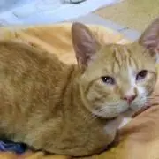 さっちゃん