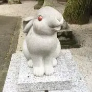 ぴよちゃん