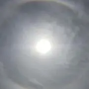 コニシ