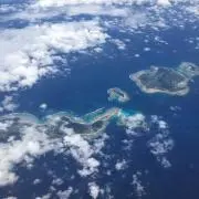 mozuの画像