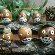 たぬきの画像