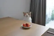 うーま