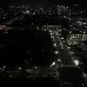 葵