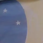 さらりの画像