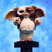 ギズモの画像