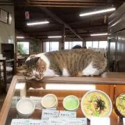 みつの画像