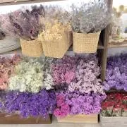 青の部屋の画像