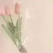 依田の画像
