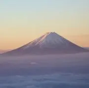 うさぎ(2歳3歳育児中)の画像