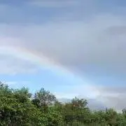 よしよしの画像