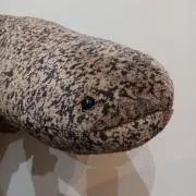 すぷーんの画像