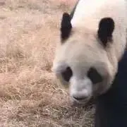 har1969の画像