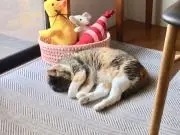 MO26の画像