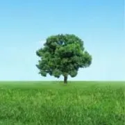 Anjoの画像
